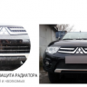 Защита радиатора "Standart" Citroen C-Elysee (2012-2017) чёрная купить недорого с доставкой в Истра