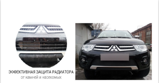 Защита радиатора "Standart" Citroen C3 Picasso (2012-2016) чёрная купить недорого с доставкой в Истра