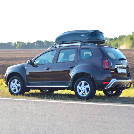 Накладки на двери (молдинги) (4 шт) (ABS) Renault Duster (2012-2020 г.в.) купить недорого с доставкой в Истра